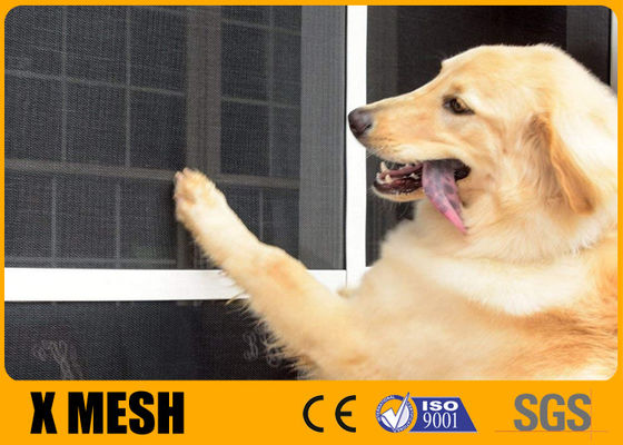 15 X 10 Mesh Cat Proof Window Screen Anti Aging Untuk Rumah Hewan Peliharaan