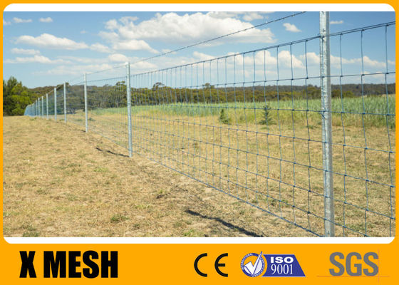 ASTM A121 15cm Engsel Joint Anggar Wire Mesh Hot Dipped Galvanis