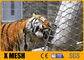 7X19 Type SS316L Zoo Wire Mesh Untuk Kandang Hewan Tahan Karat