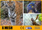 ASTM Standar 60 Derajat Kabel Kawat Jaring X Tend Zoo Enclosure Mesh