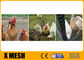 20 Ga wire mesh ayam kelinci Hexagonal Poultry Netting 3/4&quot; bukti asam